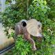Galvanized Hanging Animal Birdhouse - Elephant
